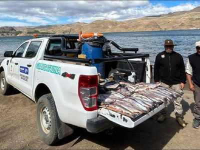 Guardafaunas realizó actas por pesca ilegal y secuestró más de 130 piezas de salmónidos