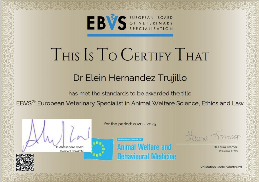certificado