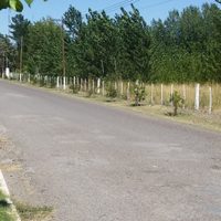 Valle Medio: hay un solo pueblo sin casos de coronavirus... Enterate cúal es