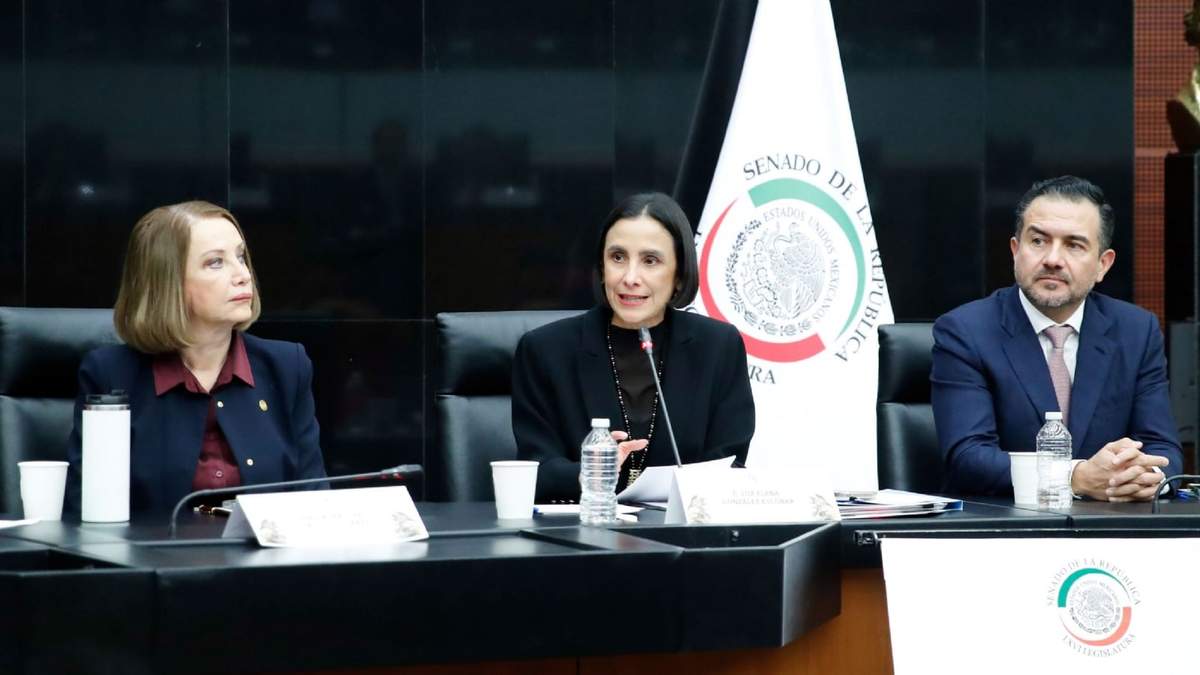 Comparecencia de la secretaria de Energía, Luz Elena González Escobar en el Senado de la República