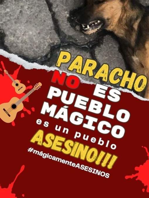 La protesta contra el envenenamiento de canes sigue en las redes