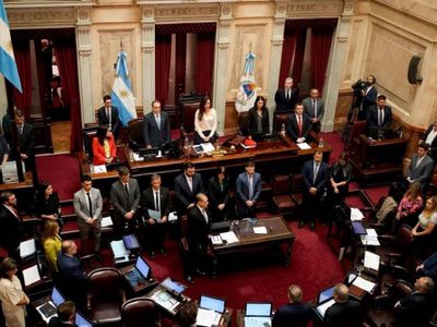 Ficha limpia: se alarga la definición porque el Senado no tratará el proyecto por homenajear al Papa