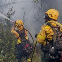 Seis incendios en Neuquén: tres focos siguen fuera de control y brigadistas refuerzan los operativos