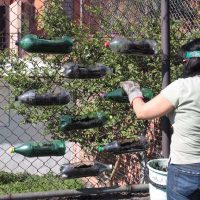 Escuelas de Morelos dejarán de utilizar desechables de plástico y unicel
