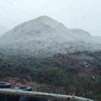 Gobierno sonorense estima en 984 mdp las pérdidas agrícolas por bajas temperaturas