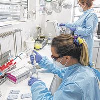Coronavirus: cuál es la situación epidemiológica actual de Río Negro