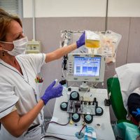 Tratamiento con plasma: un hospital neuquino presentó los protocolos para empezar a implementarlo