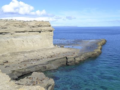Tranquilidad y disfrute: te revelamos qué podés visitar en Puerto Pirámides
