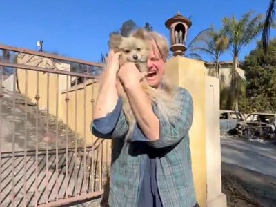 El perrito Oreo sobrevivió a los incendios en California y logró reencontrarse con su dueño (Video)