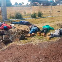 Ejecutan a siete personas en Michoacán