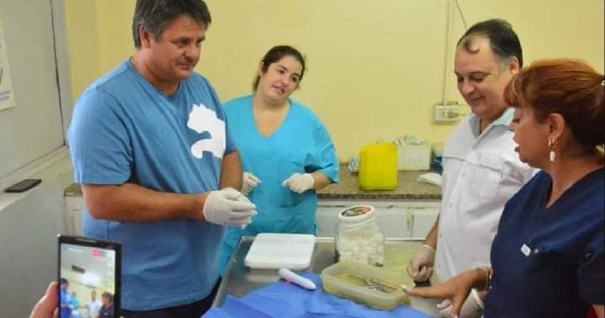El intendente de Neuquén, Mariano Gaido, participó en la cirugía de castración de un gato. Fuente: (Diario Río Negro)
