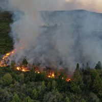 Solicitaron conocer el plan de acción para combatir incendios en Neuquén