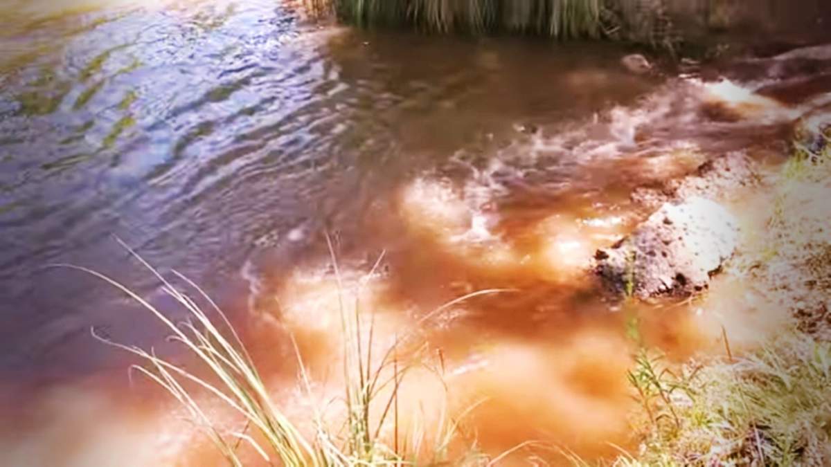 Río Limay Fuente: (Facebook)