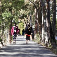 Último informe: 6 pacientes fallecidos y 456 nuevos casos en un día en Neuquén