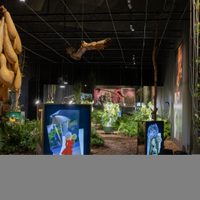Arte: Ni galería ni museo; Arte Abierto en Artz Pedregal
