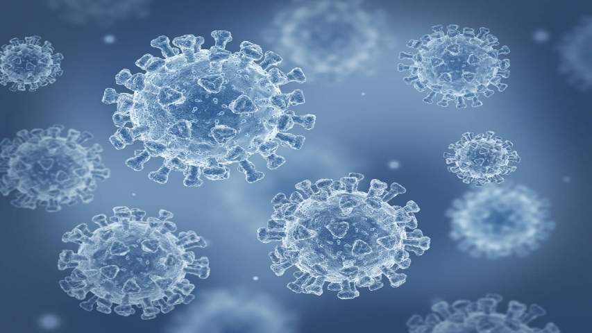 La OMS declaró “de interés” la nueva subvariante de la covid-19, "Eris", y solicitó a los países que refuercen la vigilancia. La nueva cepa desciende de la variante Ómicron