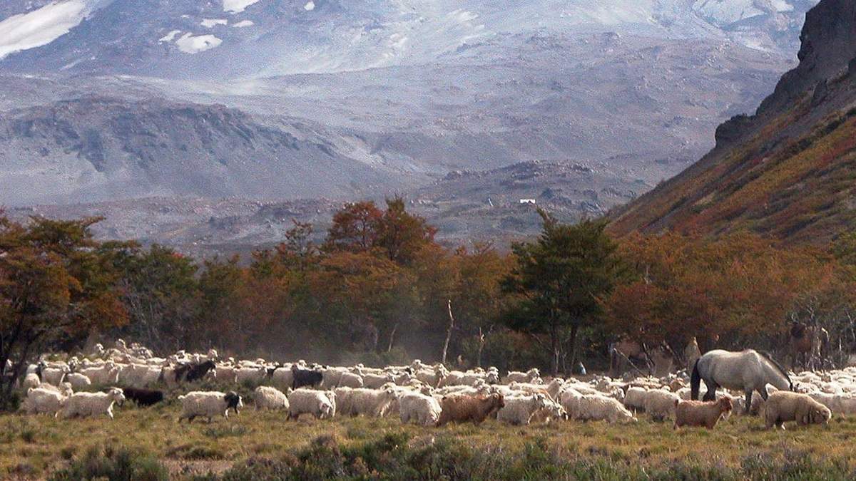 Desarrollo de comunidades rurales.