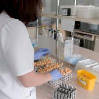 Anunciaron los “resultados positivos” de un tratamiento para el coronavirus en Córdoba