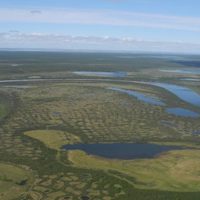 La tundra de Siberia podría desaparecer a mitad del milenio