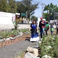 Jardín de Lluvia Coapan no responde a demanda de acceso a agua: Asamblea Vecinal Tlalpan Coyoacán