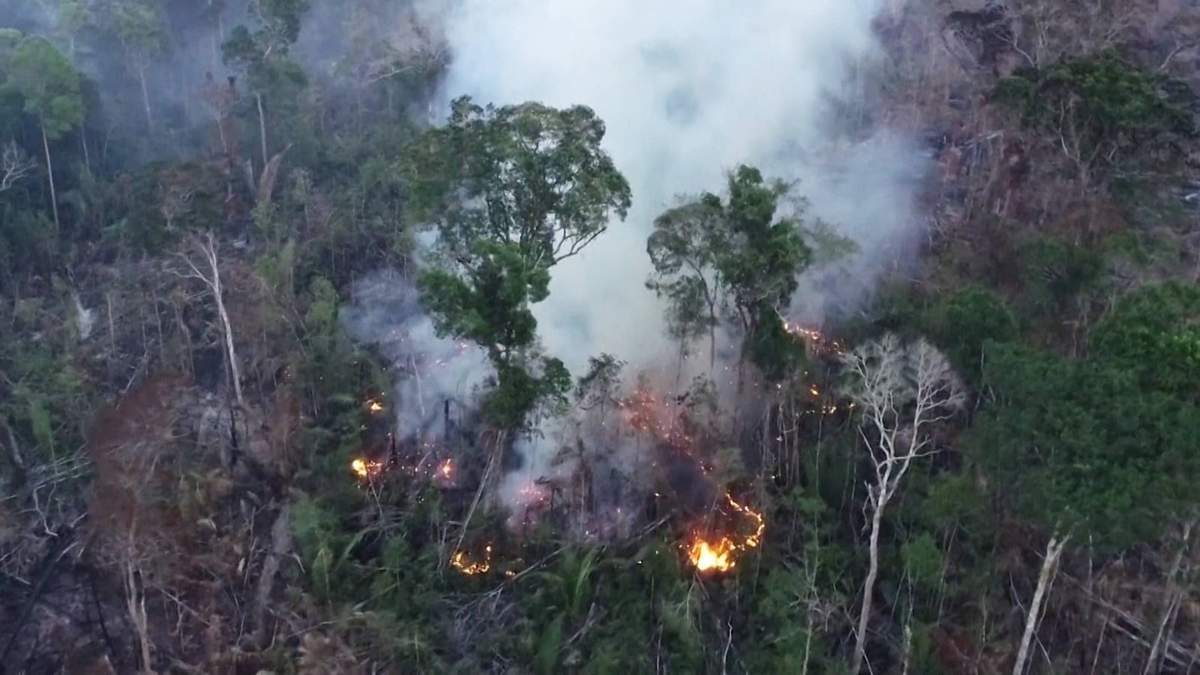 Los incendios en la Amazonia aumentaron un 20% con respecto al año anterior. Fuente: (Twitter)