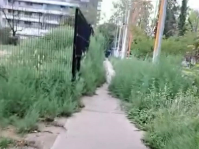 Vecinos denuncian falta de mantenimiento y oscuridad en el Parque Central