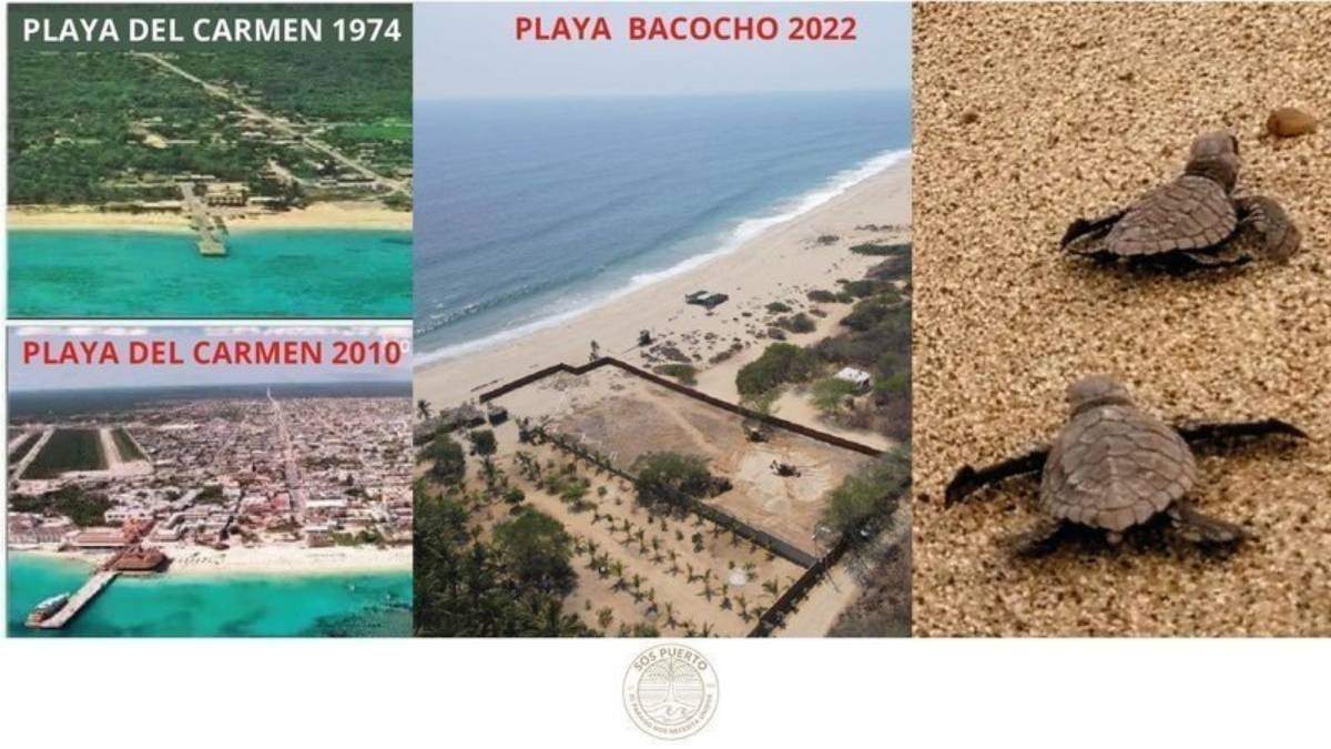 El proyecto inmobiliario perjudicaría a un campamento de tortugas