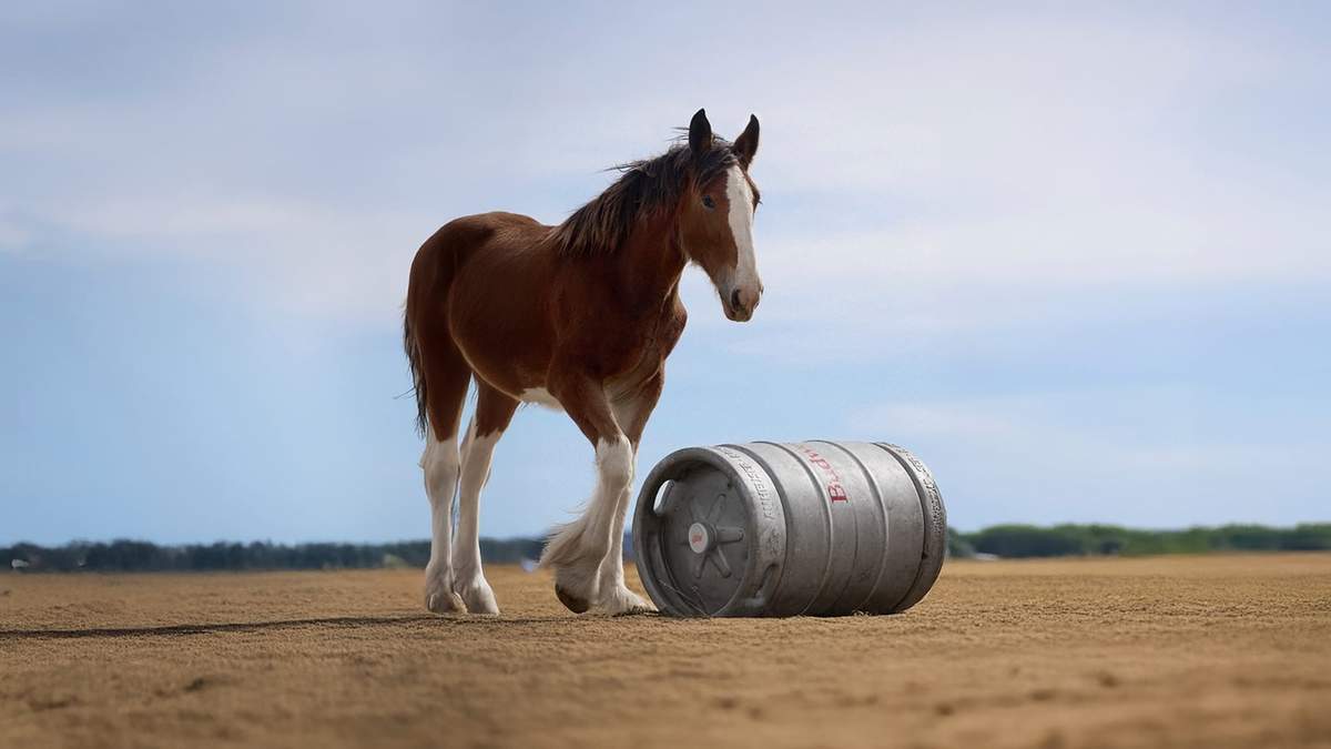 Esta imagen proporcionada por Budweiser muestra el anuncio de futbol americano de la NFL del Super Bowl 2025 de Budweiser