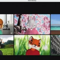 Zoom lanza nuevos avatares, usuarios podrán ser un perro, gato, zorro, conejo y hasta un mapache
