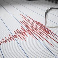 Un fuerte terremoto sacudió Perú: “Toda la región sur se ha visto afectada”