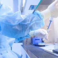 México no ha enviado informes a la OMS sobre resistencia a antibióticos comunes, advierte informe