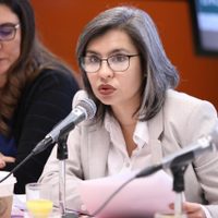 Diputados aprueban fortalecer los mecanismos de alerta de género