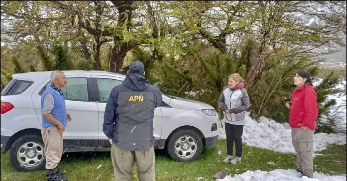 El matrimonio se encontraba dentro de su automóvil y en buenas condiciones de salud. Fuente: (RSM)