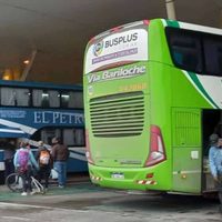 Tragedia en la ETON: una mujer de 84 años murió tras bajar de un micro de larga distancia