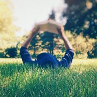 El simple truco para que tu césped se mantenga verde y radiante en otoño e invierno