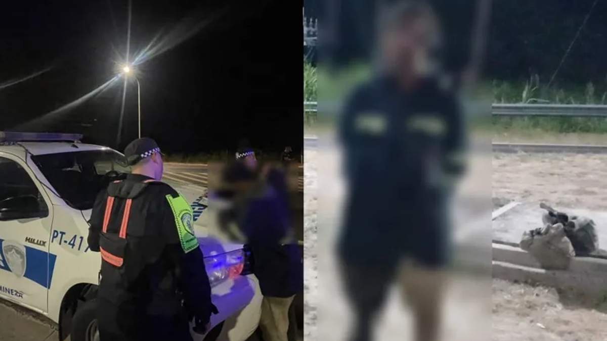 Cayó una avioneta y uno de sus pasajeros “desapareció”