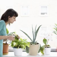 4 secretos de los jardineros para que tus plantas estén rozagantes en otoño