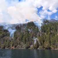 Incendio forestal en el Lago Steffen: el humo llegó a Bariloche