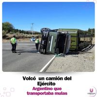 Junín de los Andes: volcó un camión del Ejército que transportaba mulas