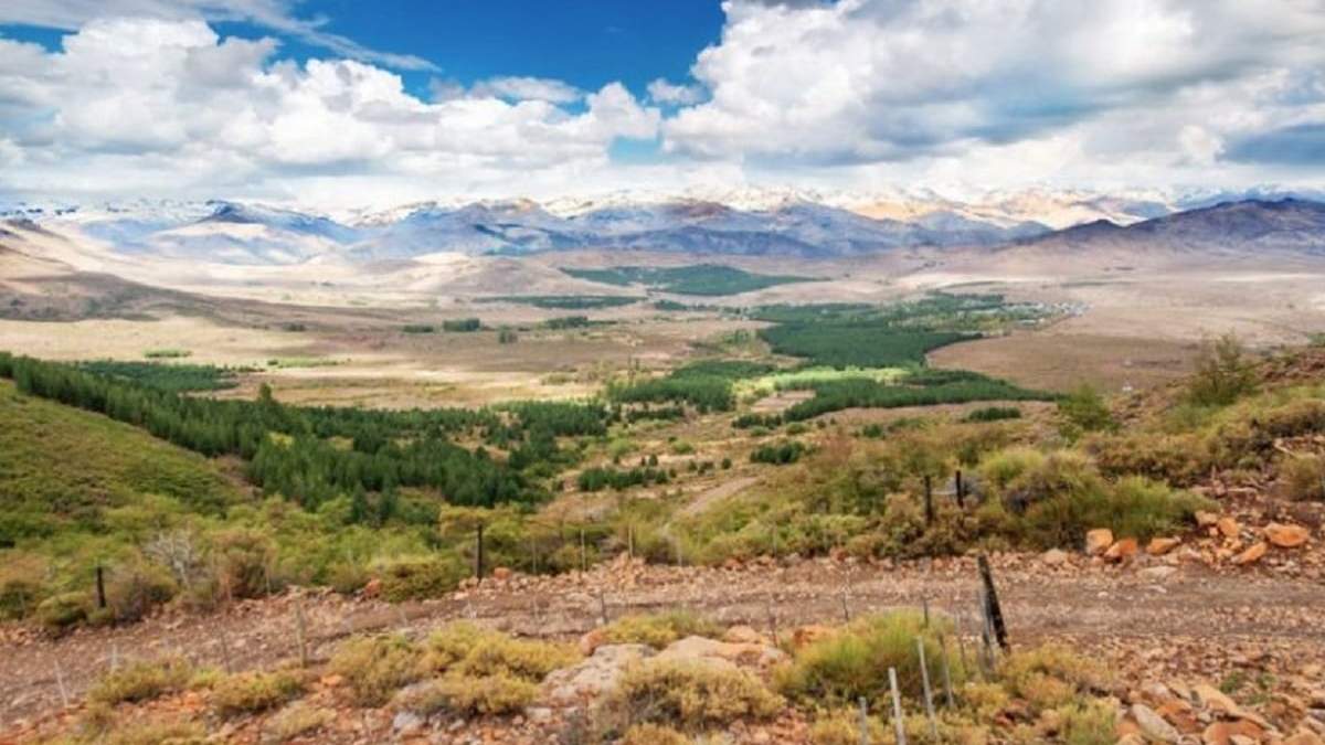 Neuquén. Fuente: (Instagram)