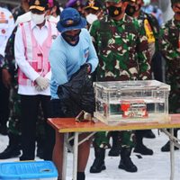 Indonesia: recuperaron los datos de la caja de seguridad del avión accidentado