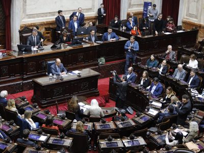 Discapacidad: Diputados le dio un ultimátum a Francos