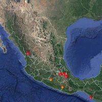 En medio de la contingencia, la Conafor reporta 24 incendios en el país; 12 están activos
