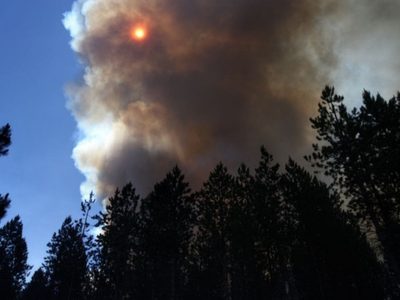 La lluvia no fue suficiente para acabar con los incendios de Aluminé