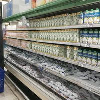 La exportación de lácteos cayó un 15% en el primer semestre del año por la caída de los precios