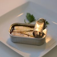 No tires las latas de sardinas vacías: mirá cómo convertirlas en el joyero más hermoso y coqueto