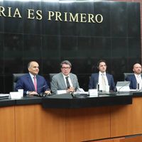 Senado delinea una hoja de ruta para legalizar la amapola