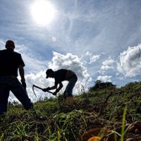 Colombia: reparto agrario... a medias