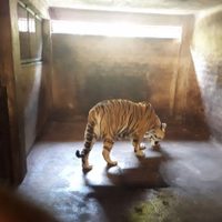 La Profepa asegura 54 ejemplares de vida silvestre en el Zoológico de Puerto Vallarta