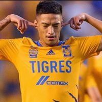 Tigres separa a Raymundo Fulgencio, acusado de golpear a un hombre en Veracruz